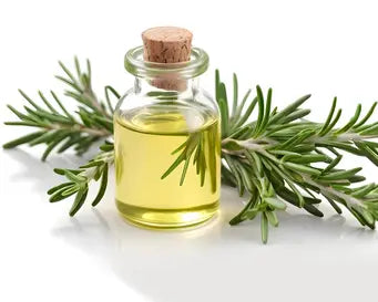 Rosemary Extract