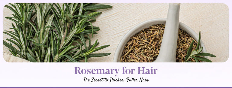 Rosemary for Hair: Benefits, Types & Ways to Use Rosemary for Hair Growth