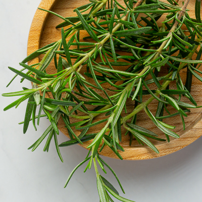 Tea Tree Extract