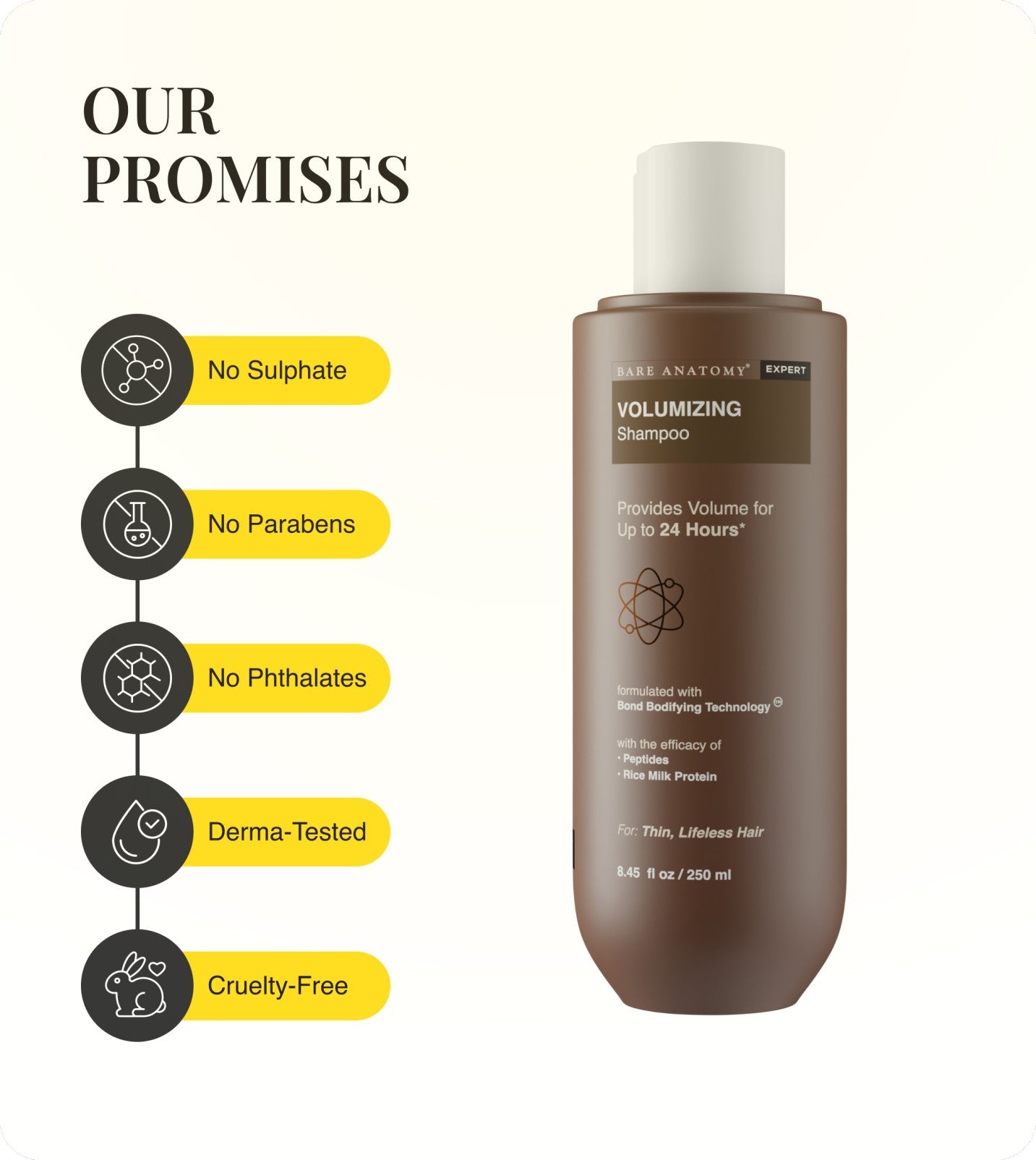 Our Promises