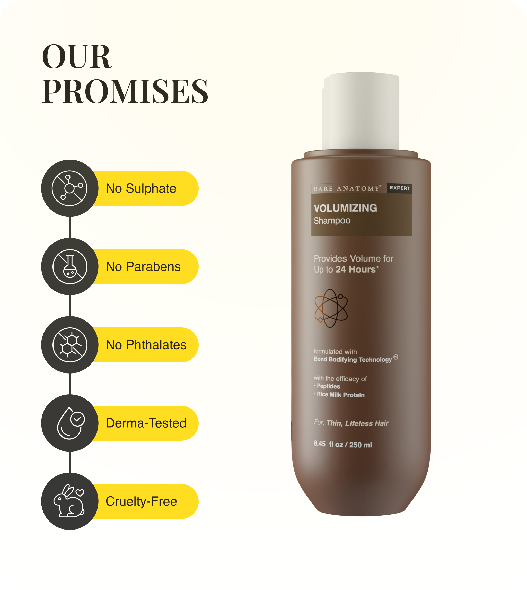 Our Promises