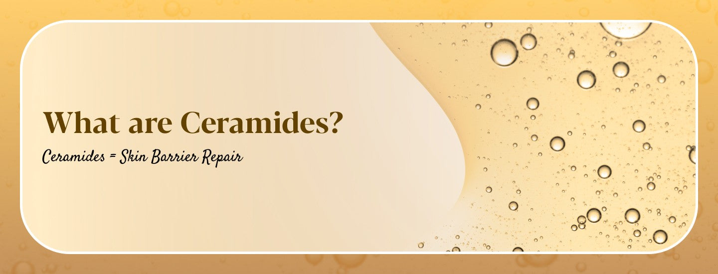 Ceramides for Skin & Hair: Everything You Need to Know