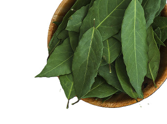 Curry Leaf Extract