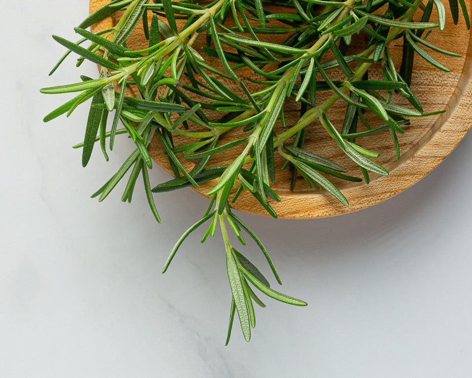 Tea Tree Extract