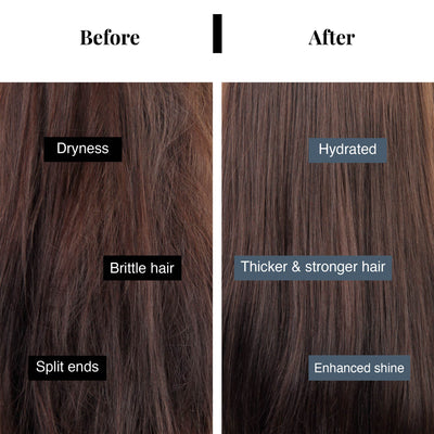 EXPERT | Anti Hair Fall Shampoo